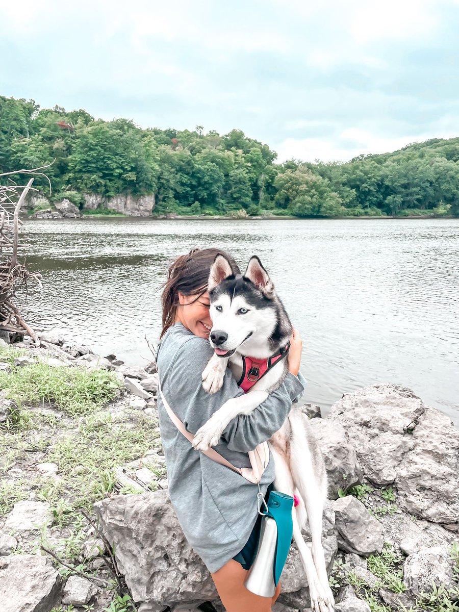 skylarsage_news's tweet photo. I can’t believe it’s #nationaldogday and I’m just now posting?! Blessed to have this ball crazed puppers🤩 #zarab https://t.co/4EZq8ypb3H
