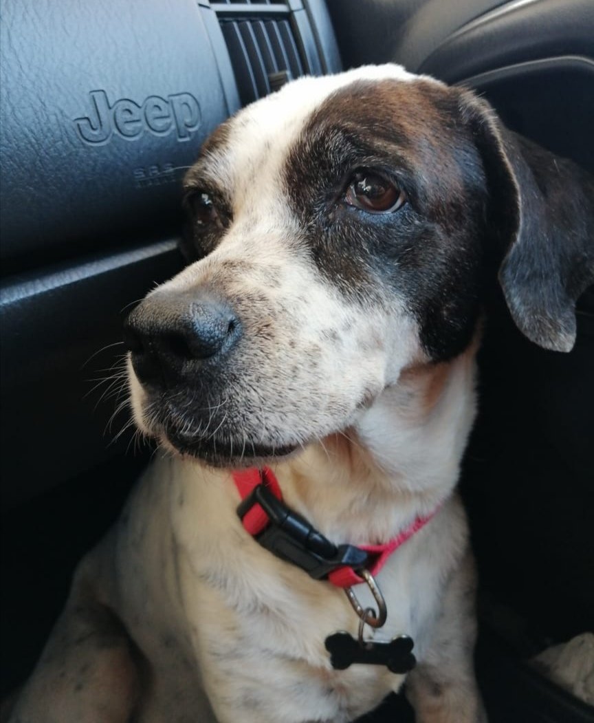 Ana Gasca tweet media