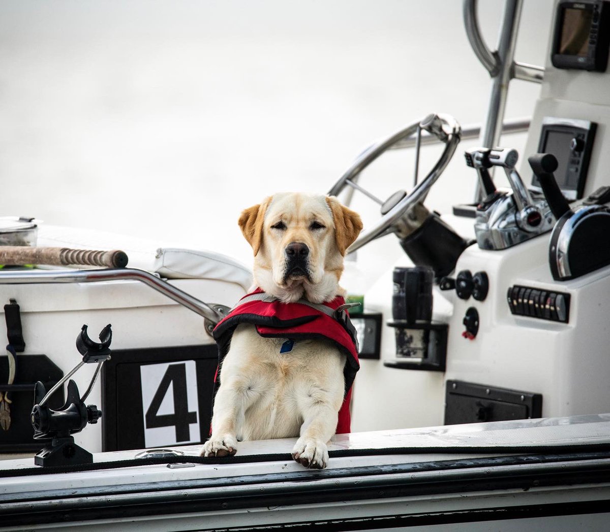 The West Coast Fishing Club tweet media