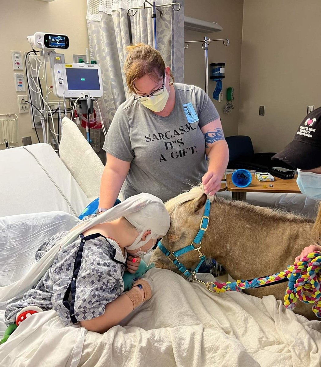 HoneysMini's tweet photo. Mini Therapy Horse brings love and comfort to children on the Pediatric Floor at @TGHCares ❤️❤️
#minitherapyhorse #therapyhorse #horseshelpinghumans https://t.co/iIgWH8CPVS