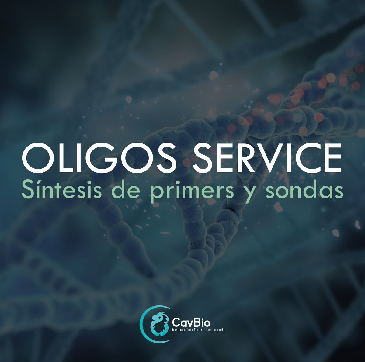 BTSCONSULTORES's tweet photo. 🧪 Sigue estos pasos para solicitar tus Oligos: 
☑️ Descarga el formulario: https://t.co/6eLLkLkG2y
☑️ Envíalo a: oligos@cavbio.pe
☑️ Recibe tu cotización
📌 Recuerda que tenemos diferentes medios de pago
☑️ Recibe tus Oligos https://t.co/4k6czC6pih