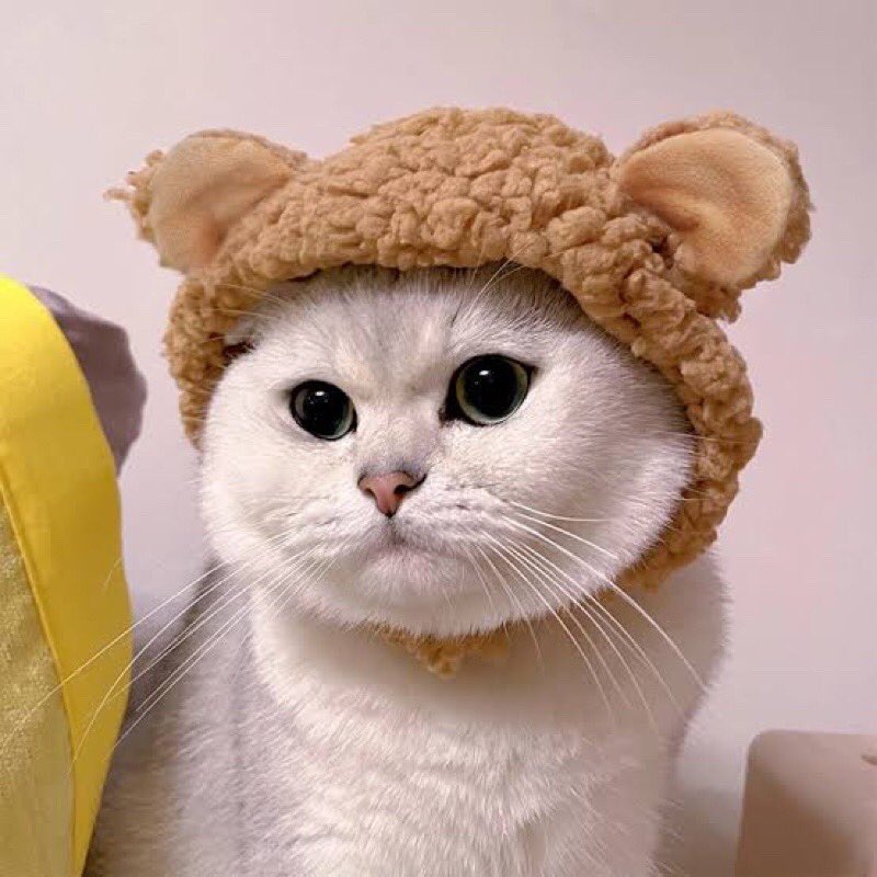 cessazura's tweet photo. ✨Aksesoris Topi Anabul
#cessarecomoren ootd anabul lucu😻
• pict 1 : https://t.co/h1PbmxhyHP
• pict 2 : https://t.co/zn3WG5qZ5B
• pict 3 : https://t.co/WTEeOuZ95J
• pict 4 : https://t.co/xydqCKtoWA
#SNGoesToJakarta #racunbelanja #racunshopee #Shopee99 #miracleincellno7 https://t.co/WvVzVeYnJ7