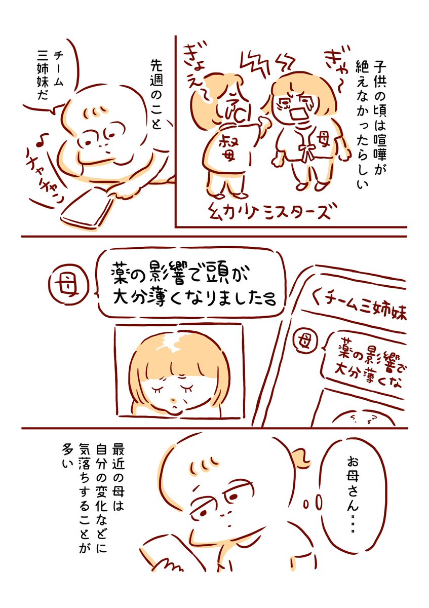 母と叔母の話 