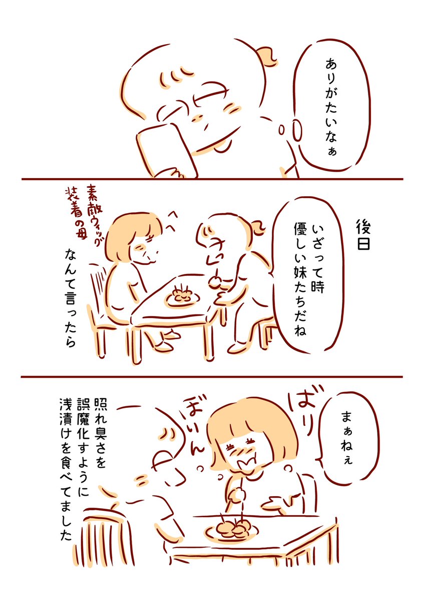 母と叔母の話 