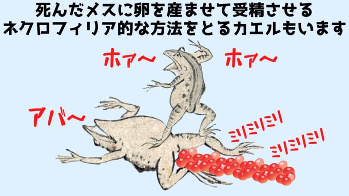 誰かこれで薄い本描きなよ 