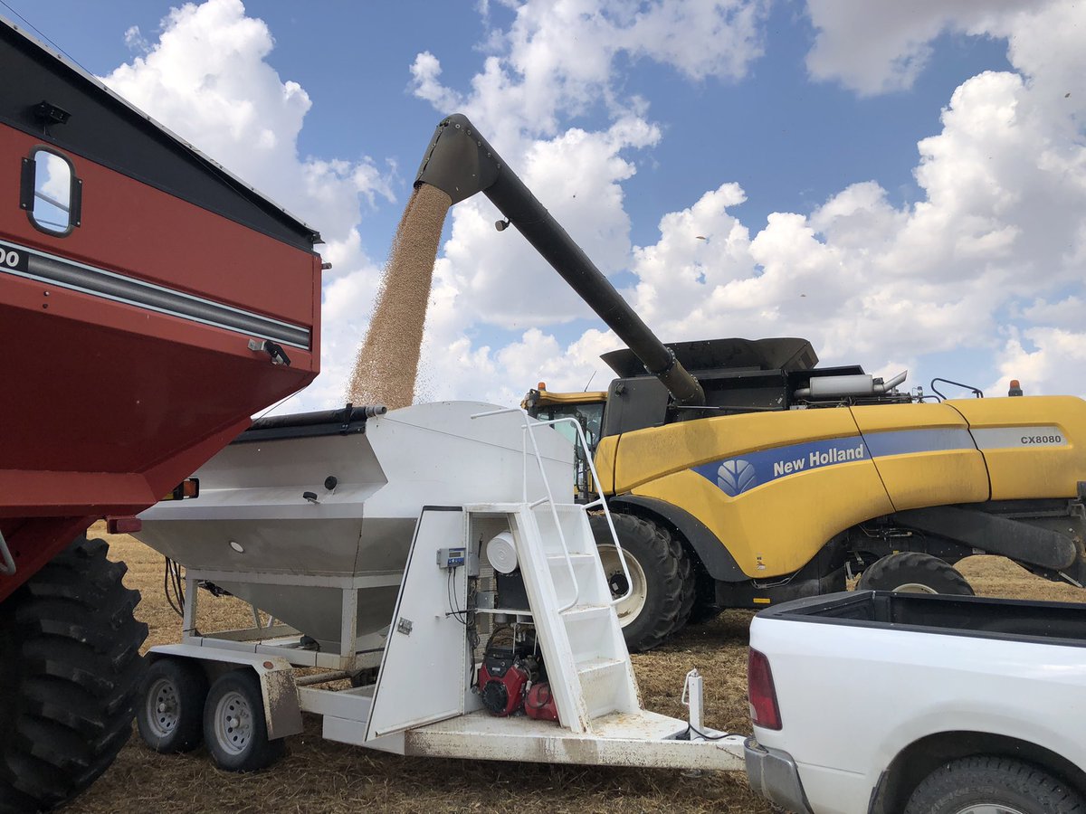 NutrienAg_SAB's tweet photo. As we patiently wait for our first @ProvenSeed FPC plot to be ready in Southern Alberta, #plot22 continues on with another fungicide trial on peas near High River! Thanks to @tweetsbydeclan &amp; @BASFAgSolutions for the support and logistics this year   #LeadingTheField #harvest22 https://t.co/i2efi4KP9a