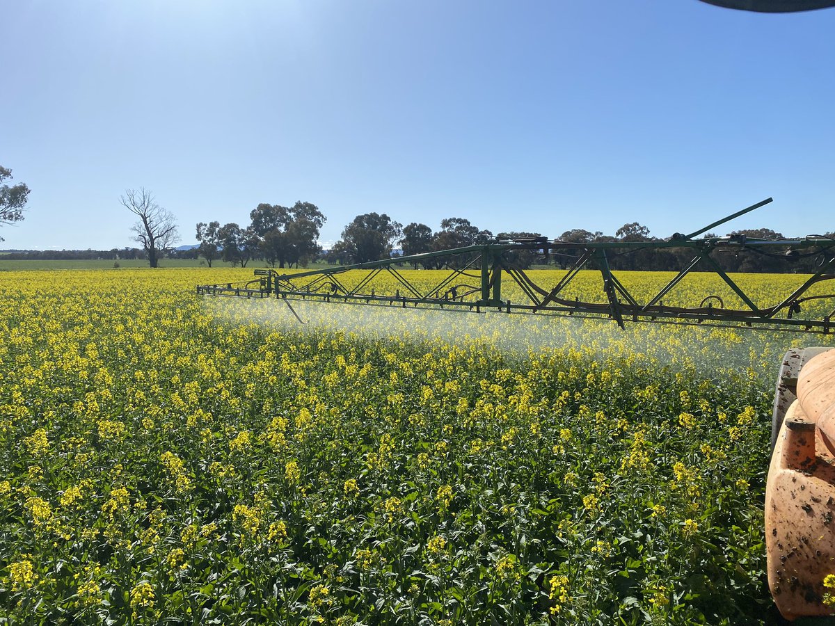 James Kanaley tweet media