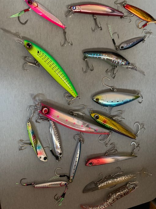 陰干し。
ヒラメをかけたのはどーれだ? 