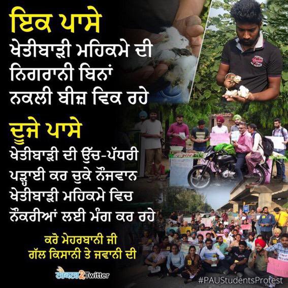 SandeepKaur_27's tweet photo. @BhagwantMann @CMOPb @PunjabGovtIndia @Sandhwan @AAPPunjab @raghav_chadha #WeSupportPAUStudents
#paustudentsprotest https://t.co/svUKeP6QNk