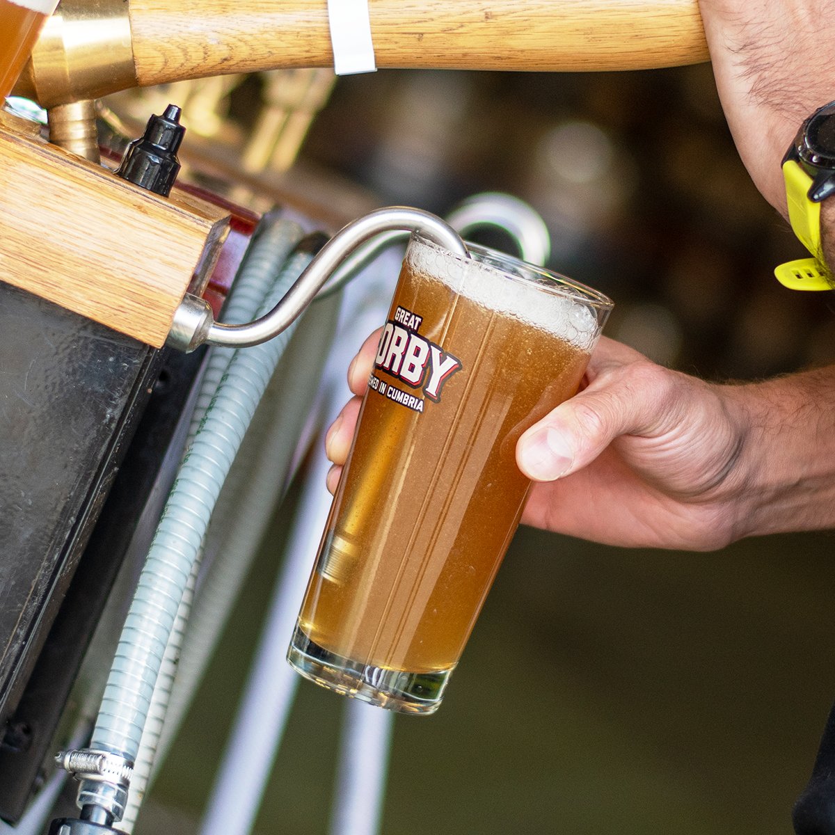 It's Saturday! That means it's time to pour yourself a cold one and enjoy the weekend!