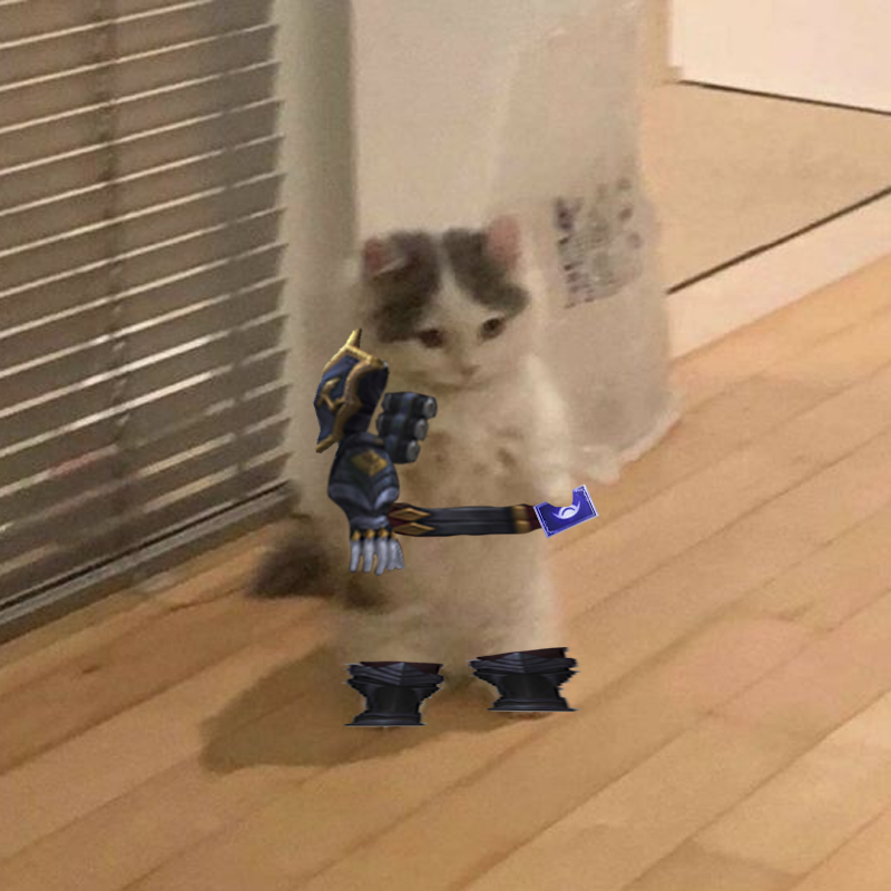DerSteinerr's tweet photo. 🐱 #Graves https://t.co/Ni1MQtUNZS
