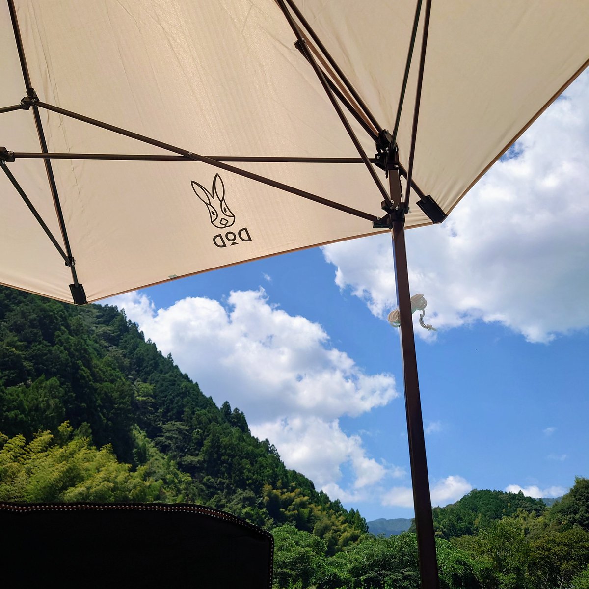 dawoooooooooooo's tweet photo. ⋆︎
よきよき♡
#キノコタープ
#イマソラ https://t.co/qjixQzG3sv