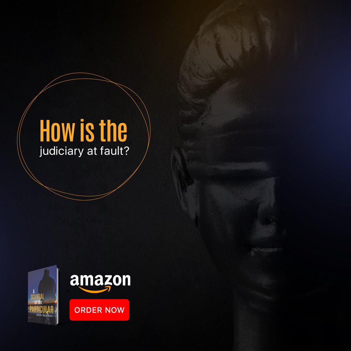 steve_author1's tweet photo. The judiciary needs to ramp up the pace at which it announces sentences, and at the same time, it needs to eliminate all political influences.

Order Now:
https://t.co/X57po8kY89

#SteveHamilton #crimethriller #book #Criminology #scandaloftheparticular #political #judiciary https://t.co/THRPVG0J2h