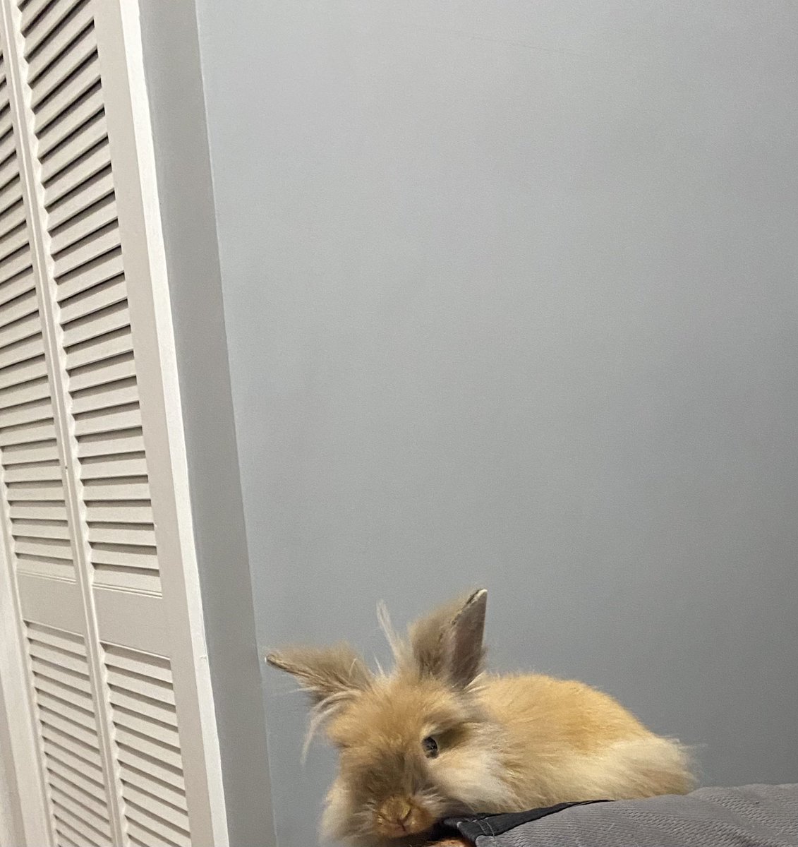 KBstevenson0412's tweet photo. I love my little Bean ☺️❤️ https://t.co/ZE9EwLQK7O