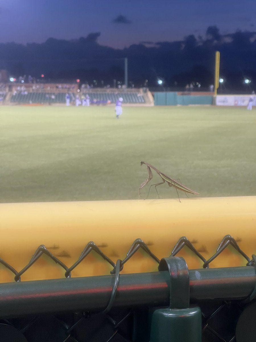 TMG0827's tweet photo. Little 🍀 charm in the outfield @LECrushers 🤩🥳 https://t.co/IQFRJSwI1p