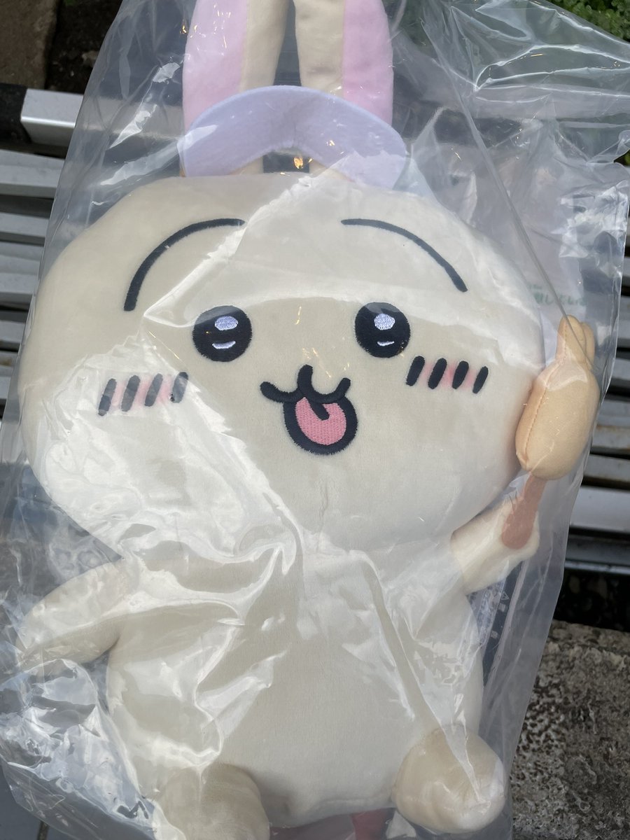 shige@shia tweet media