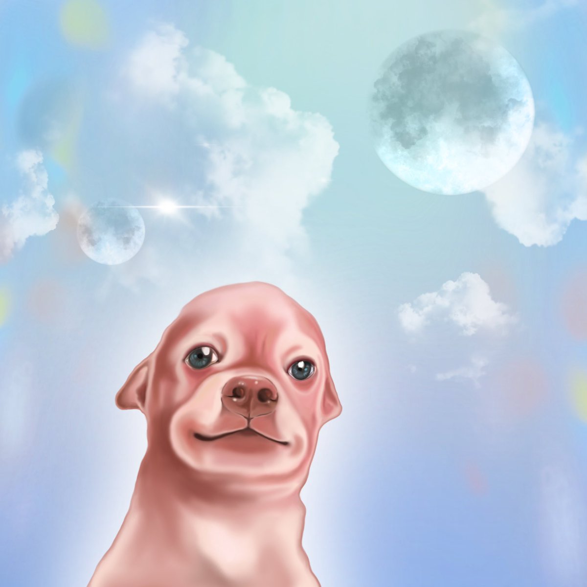 IDEidraweveryt1's tweet photo. “Lost in the Air”

The parallel world, new journey of DAKI

Available on Foundation 
Collection Daki the Chihuahua

https://t.co/ASDBekm7od

#NFTs #NFTCommunity 
#FoundationNFT 
#NFTartist https://t.co/wHj7PqojBZ