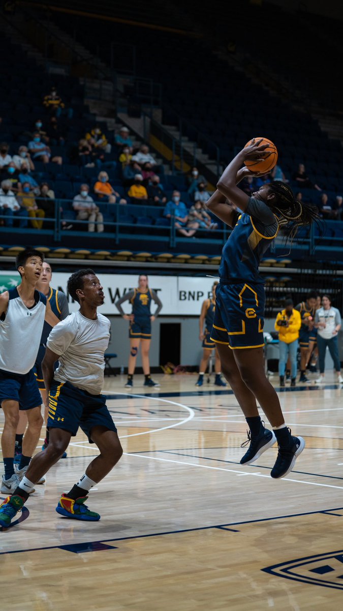 CalWBBall's tweet photo. Open Practice https://t.co/K3MTH5OUxt