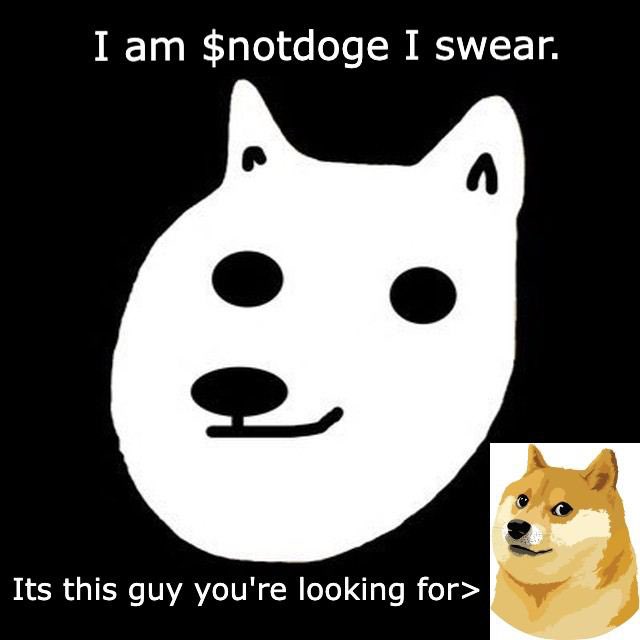 $notdoge tweet media