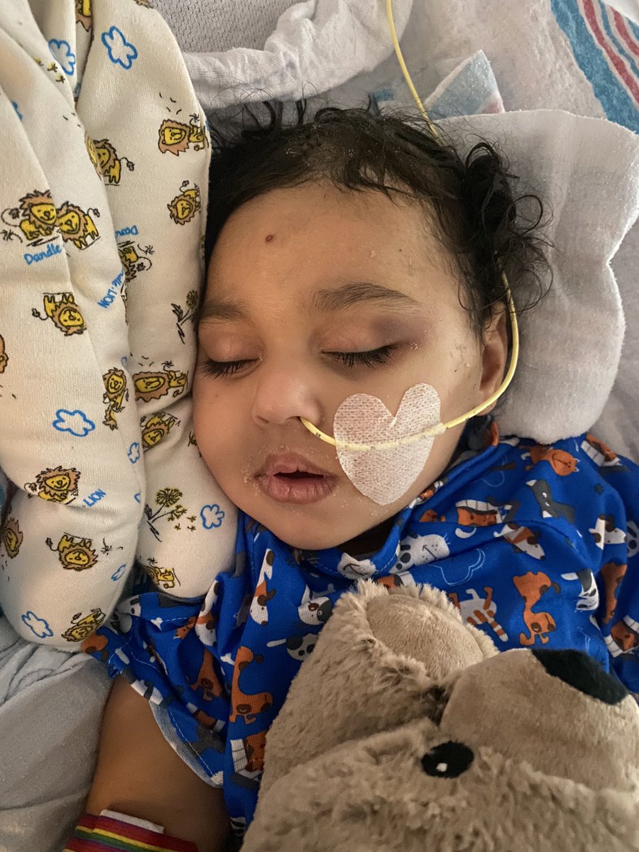 Gustavo8_'s tweet photo. Puedes colocarlo en tu IG o en tu FB. Puedes también mantener a Giulia en tus oraciones. Cualquier ayuda es bien recibida. https://t.co/UrBjyUCTNe