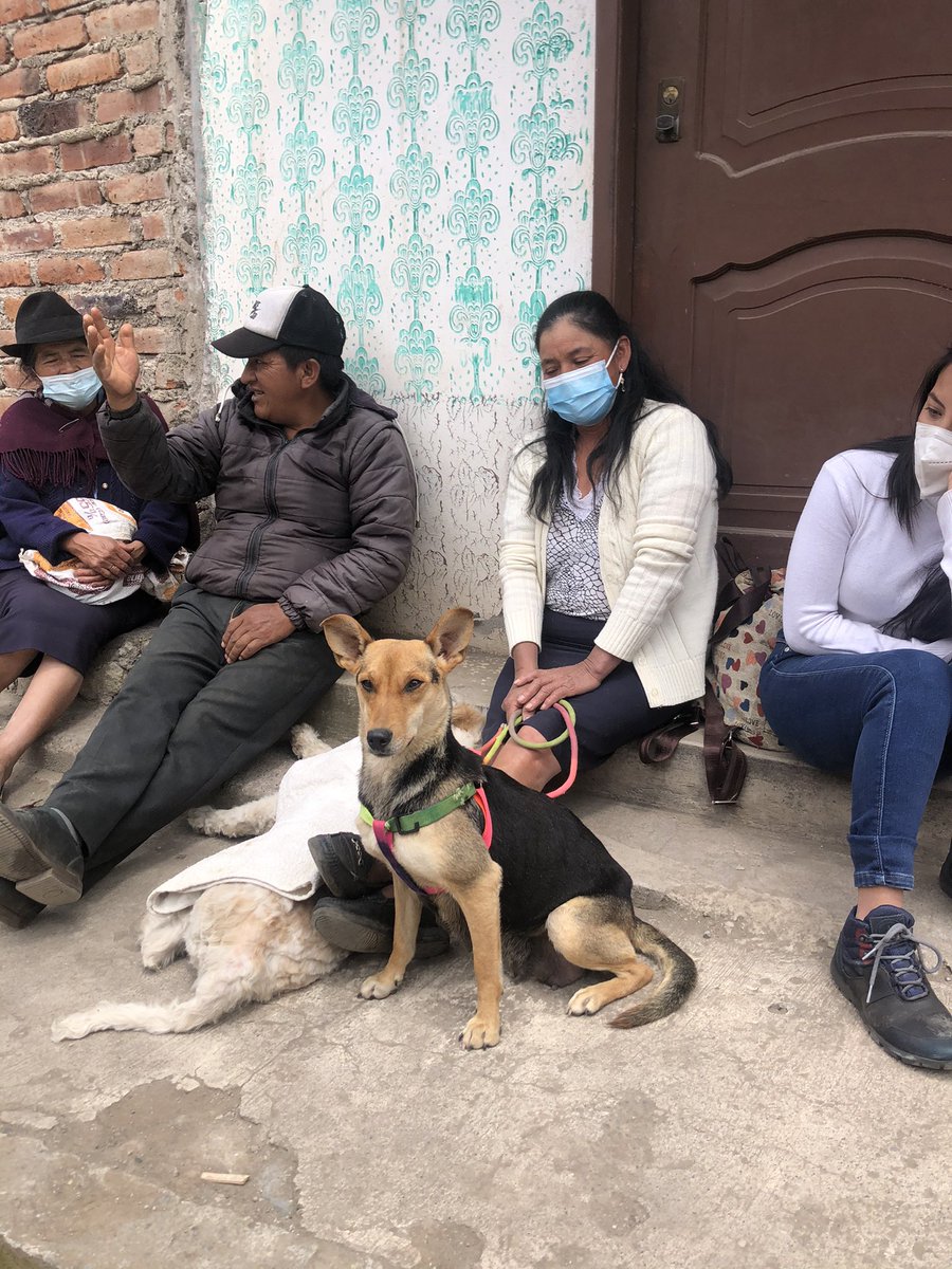 RioCapitalAnima's tweet photo. ✅ 55 esterilizaciones en #Licto 🥳
Hoy estuvimos en Licto esterilizando a perritos y gatitos con y sin dueño. En esta parroquia en especial qremos agradecer y felicitar la amabilidad d su gente y el trabajo d los funcionarios parroquiales quienes siempre apoyaron la campaña. https://t.co/K6HigzkEQe