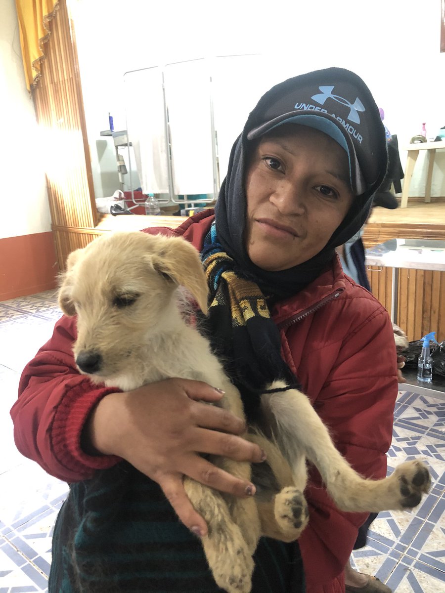 RioCapitalAnima's tweet photo. ✅ 55 esterilizaciones en #Licto 🥳
Hoy estuvimos en Licto esterilizando a perritos y gatitos con y sin dueño. En esta parroquia en especial qremos agradecer y felicitar la amabilidad d su gente y el trabajo d los funcionarios parroquiales quienes siempre apoyaron la campaña. https://t.co/K6HigzkEQe