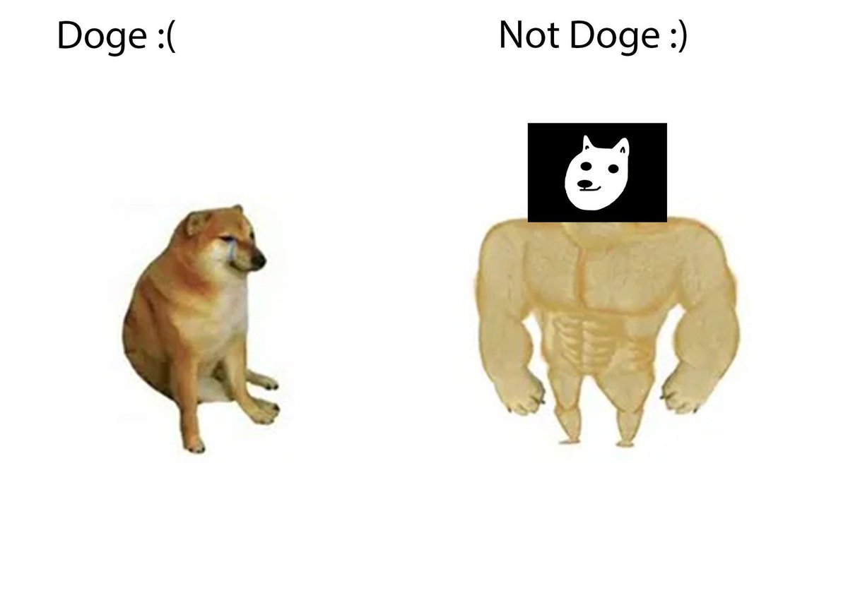 Dogechain Degen tweet media