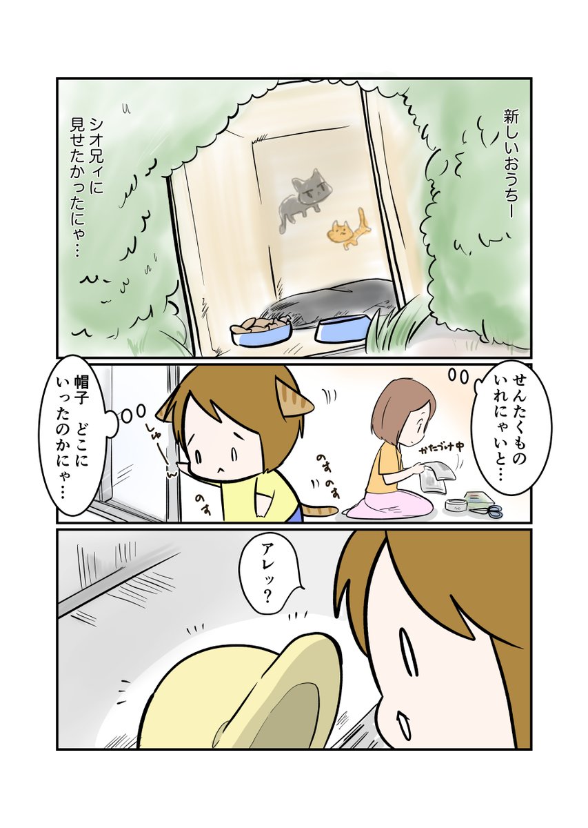 #スパダリにゃんこ
#くぅの日常 第143話
世界は愛で回っている③
ハイスペックなスーパーダーリン、スパダリ猫を目指すくぅと、飼い主しずくの日常マンガ。
友人宅ですっかりくつろぎモードのシオ。シオの帰りを待つくぅ。すれ違う2匹は会うことができるのか?
#猫マンガ
