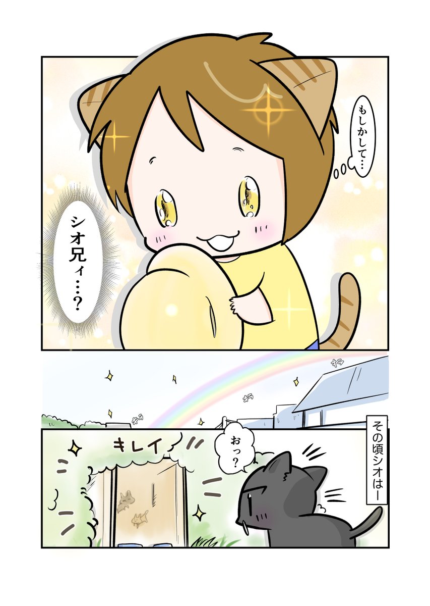 #スパダリにゃんこ
#くぅの日常 第143話
世界は愛で回っている③
ハイスペックなスーパーダーリン、スパダリ猫を目指すくぅと、飼い主しずくの日常マンガ。
友人宅ですっかりくつろぎモードのシオ。シオの帰りを待つくぅ。すれ違う2匹は会うことができるのか?
#猫マンガ