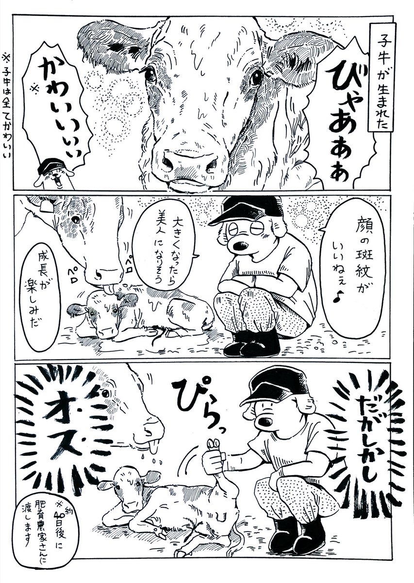 可愛い子牛(♂)

オチはないし過去に似たようなの描いてるけど懲りずに何度でも描く🐄 