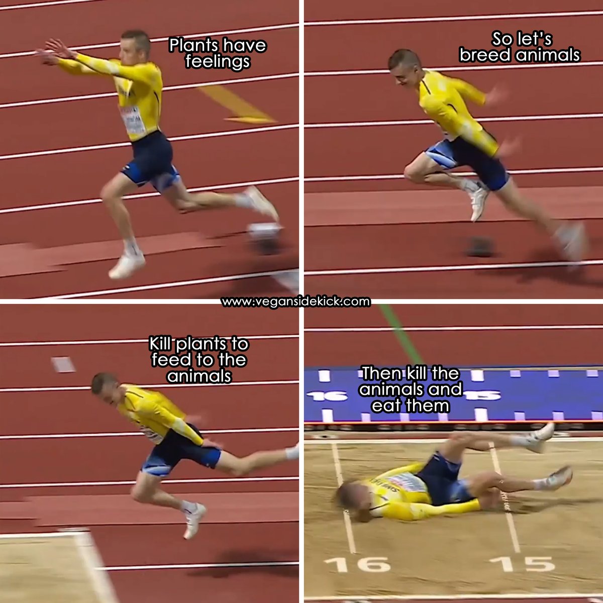 Vegan Sidekick (@vegansidekick) on Twitter photo 