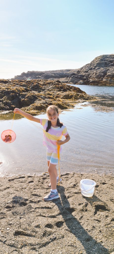 ladydignam's tweet photo. Yesterday's we had so much fun at the beach crabbing @MrsWilliamsSM https://t.co/8HW6K2l64N