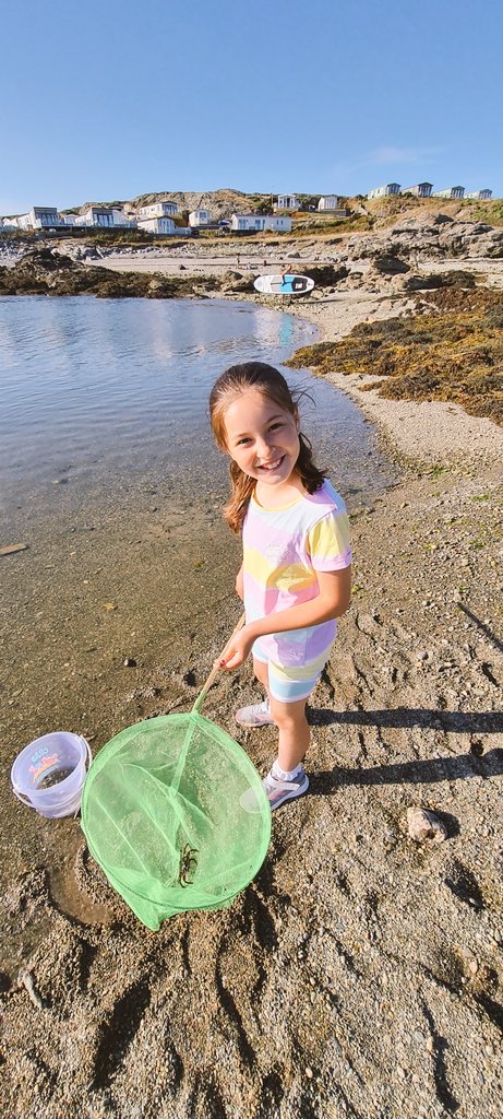 ladydignam's tweet photo. Yesterday's we had so much fun at the beach crabbing @MrsWilliamsSM https://t.co/8HW6K2l64N