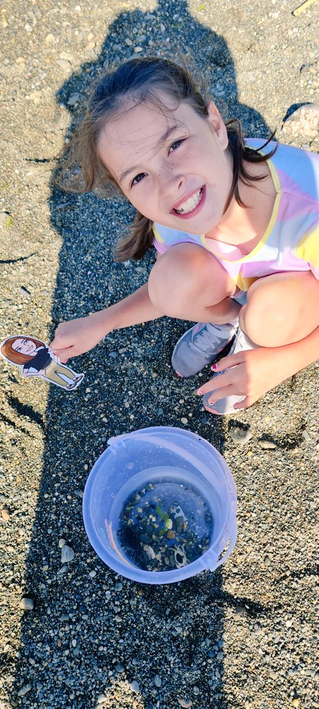 ladydignam's tweet photo. Yesterday's we had so much fun at the beach crabbing @MrsWilliamsSM https://t.co/8HW6K2l64N