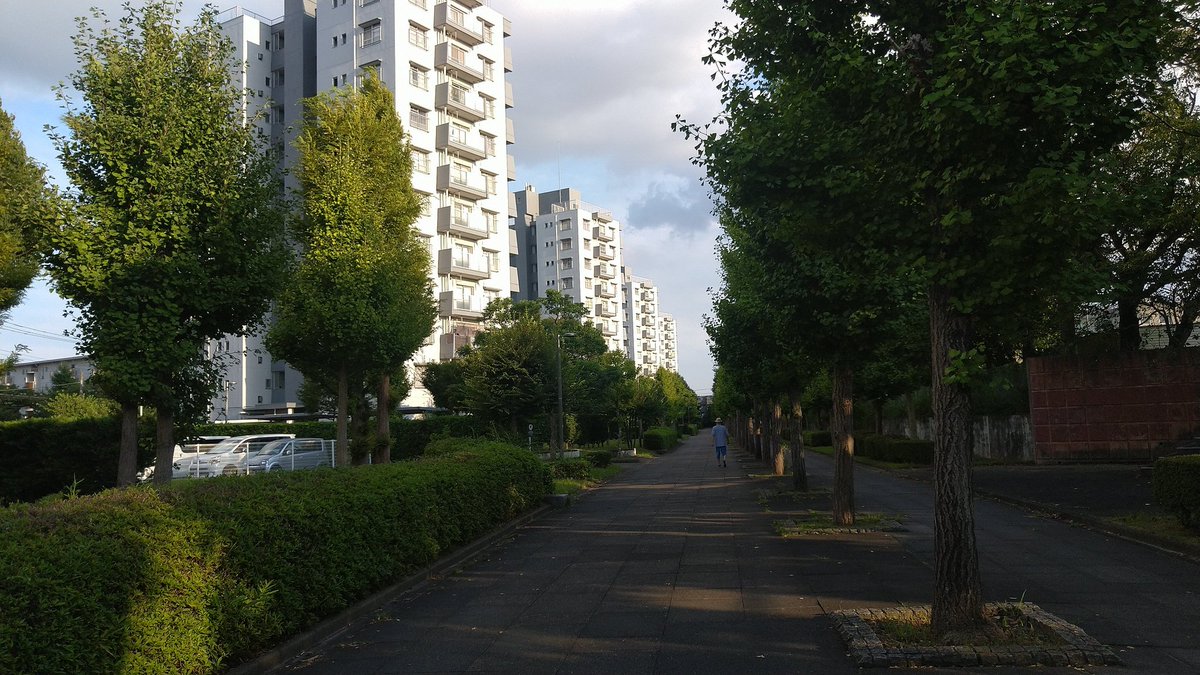 makulau01's tweet photo. 八千代市の村上団地を再訪。マンモス団地としての存在感は健在な一方、一部区画で老朽化による取り壊しが進行しており、時代の流れを感じさせます。これを新陳代謝とみるか、一つの時代の終わりとみるか、少し複雑な気分です。
#団地 #danch https://t.co/1lHLrQHMil