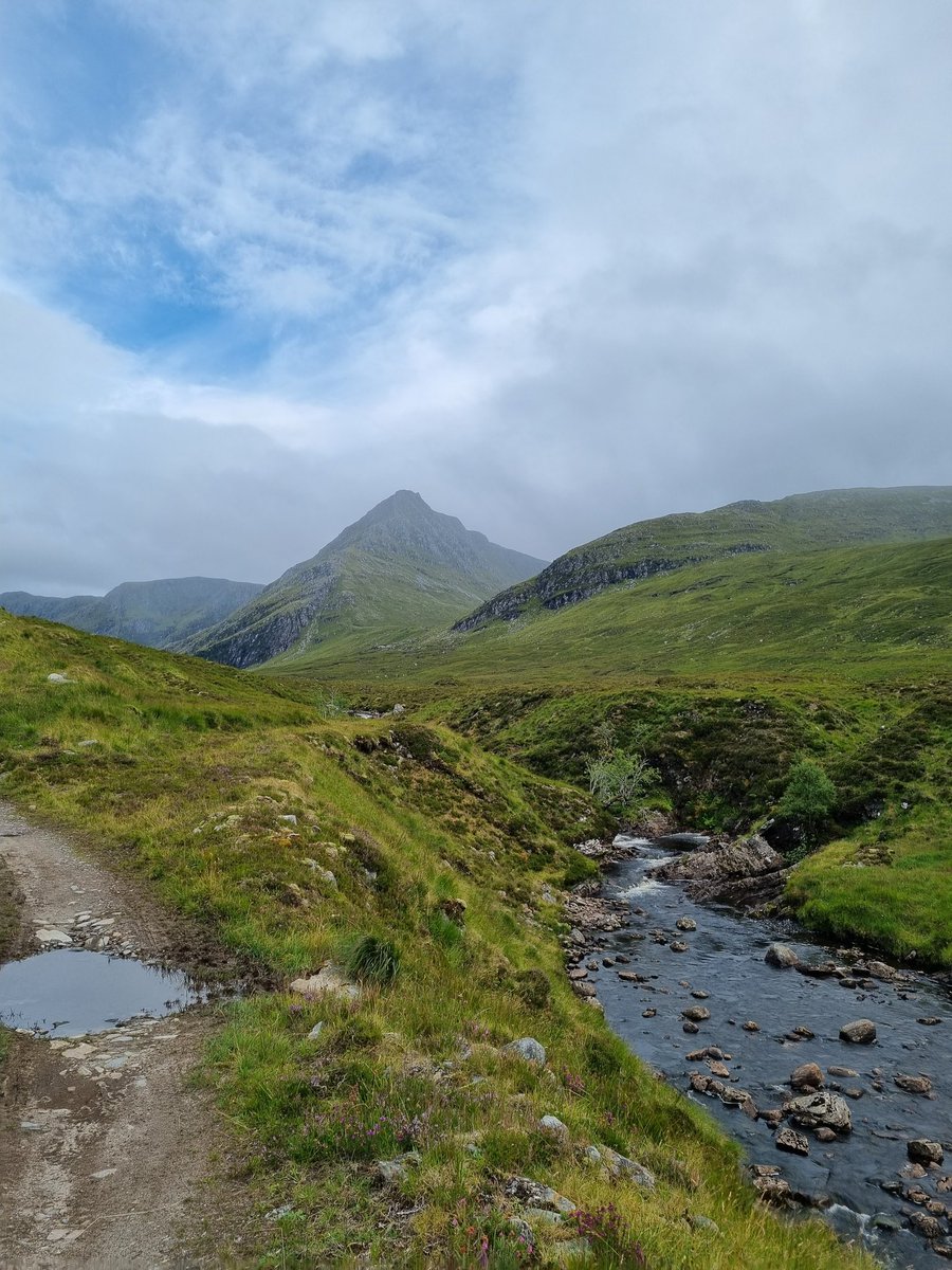 3rd World Criminal tweet media