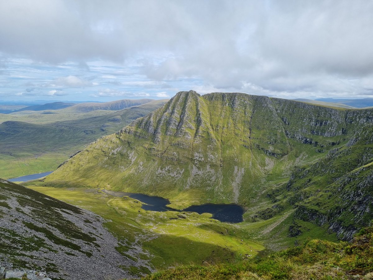 3rd World Criminal tweet media