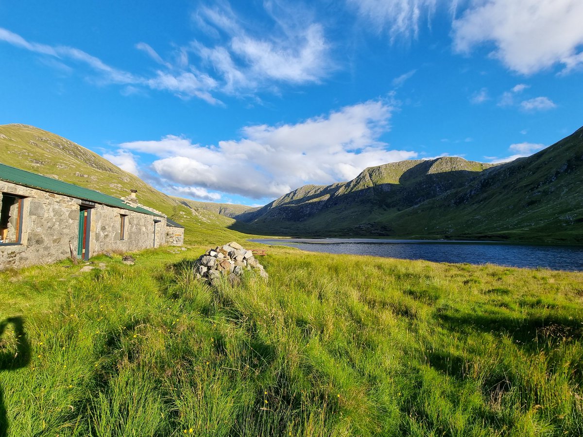 3rd World Criminal tweet media