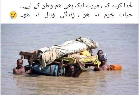 mshariqs tweet picture