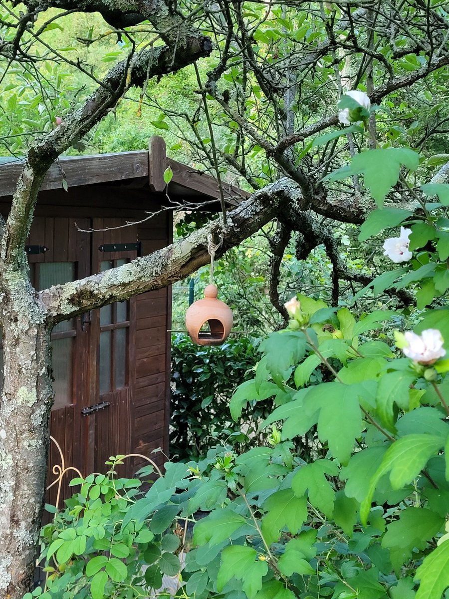appgiardiniera's tweet photo. Garden corner... https://t.co/UlLNOQA4aL