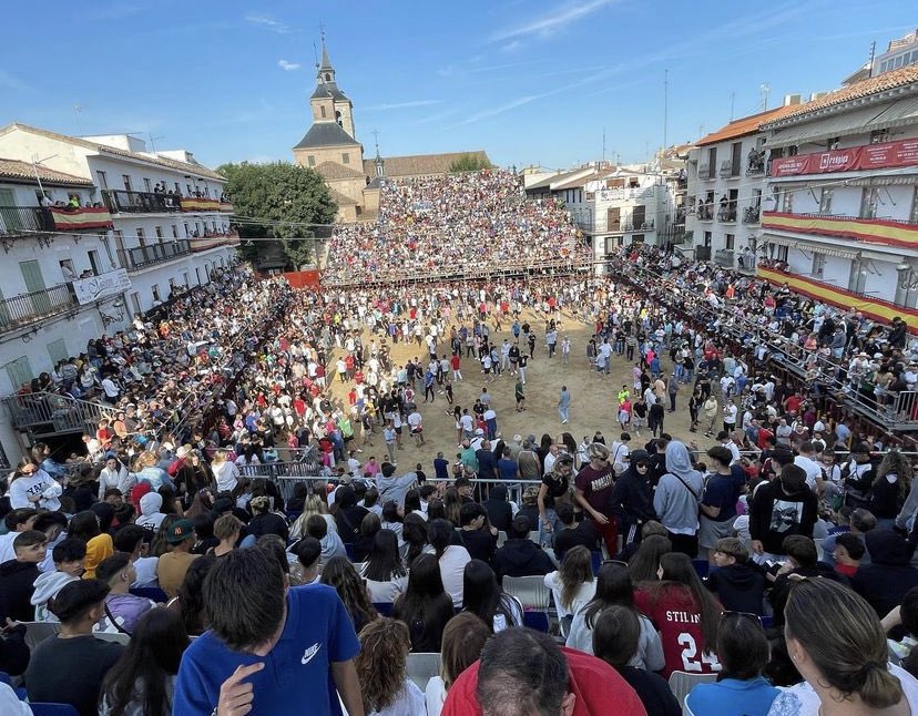 YoliFernd's tweet photo. Y todavía no han empezado las fiestas … Aquí si interesan los toros #fiestasarganda https://t.co/rlLMotM9zx