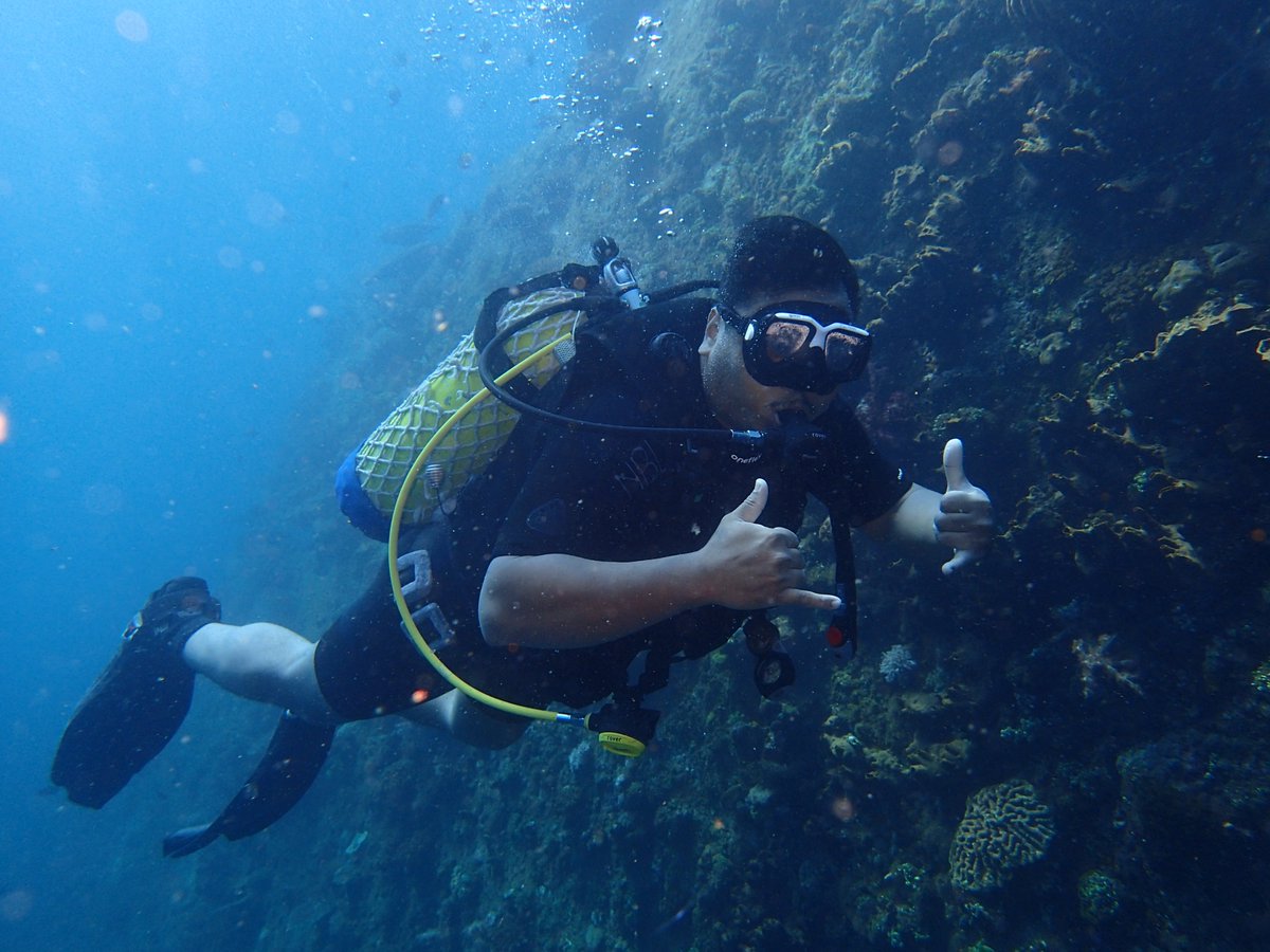 Wreck dive in Bali with us enadive.com #wreckdive #shoredive #deepdive #scubadiving #scuba #balidiving