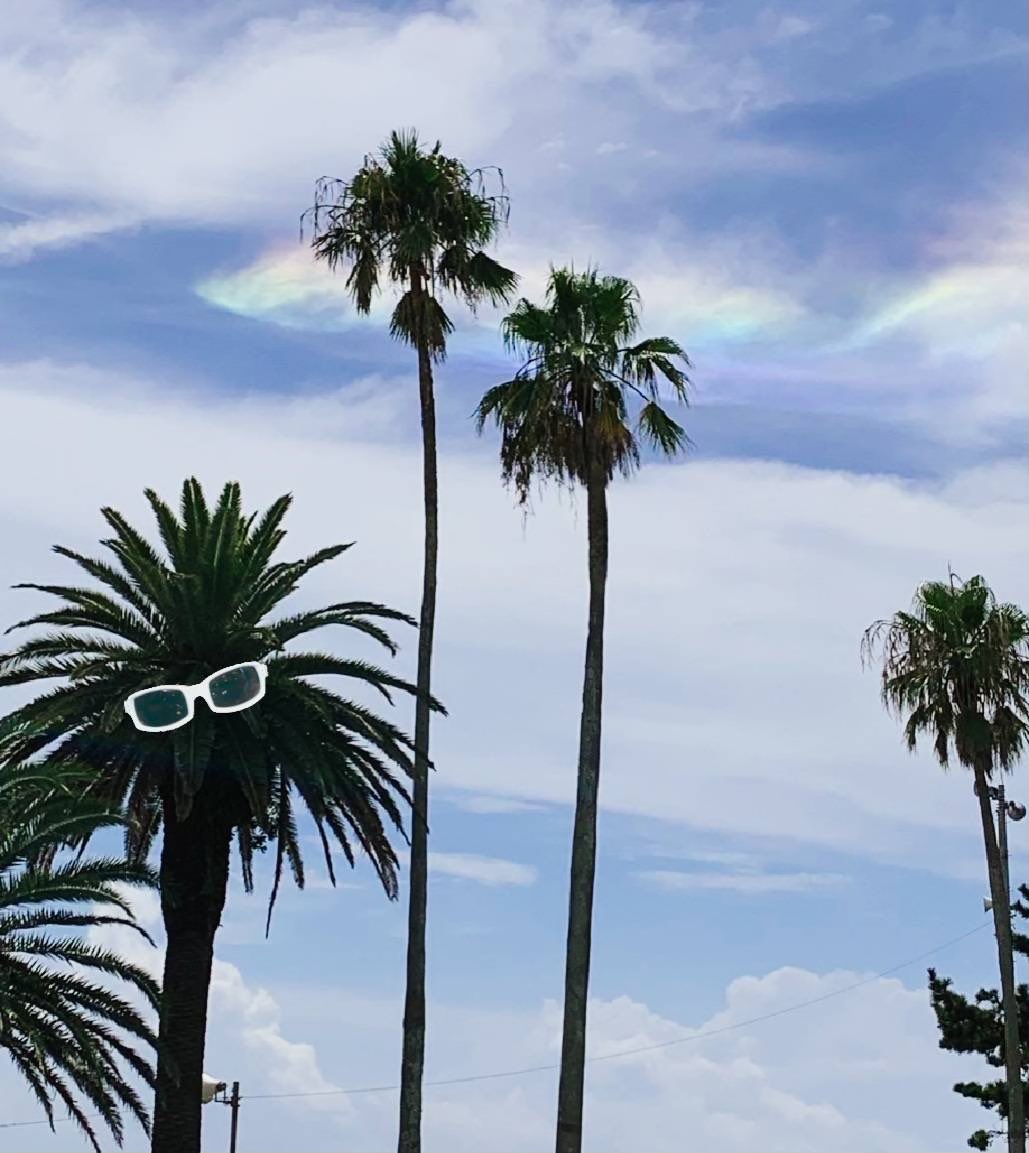 Yulinareff's tweet photo. Michel et l'arc-en-ciel.
#michelpolnareff https://t.co/B4TpbJwbMp