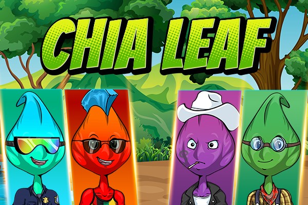 chialeafnft's tweet photo. 🎉 Coming Soon - Minting has started! 🎉 

310 Unique NFTs. - The Chia Leaf collection, exclusively on the Chia Blockchain. Hand drawn traits, no leaf the same as the next

#chia #xch #nft #chianft #chia_project https://t.co/N3vNzkwLhJ