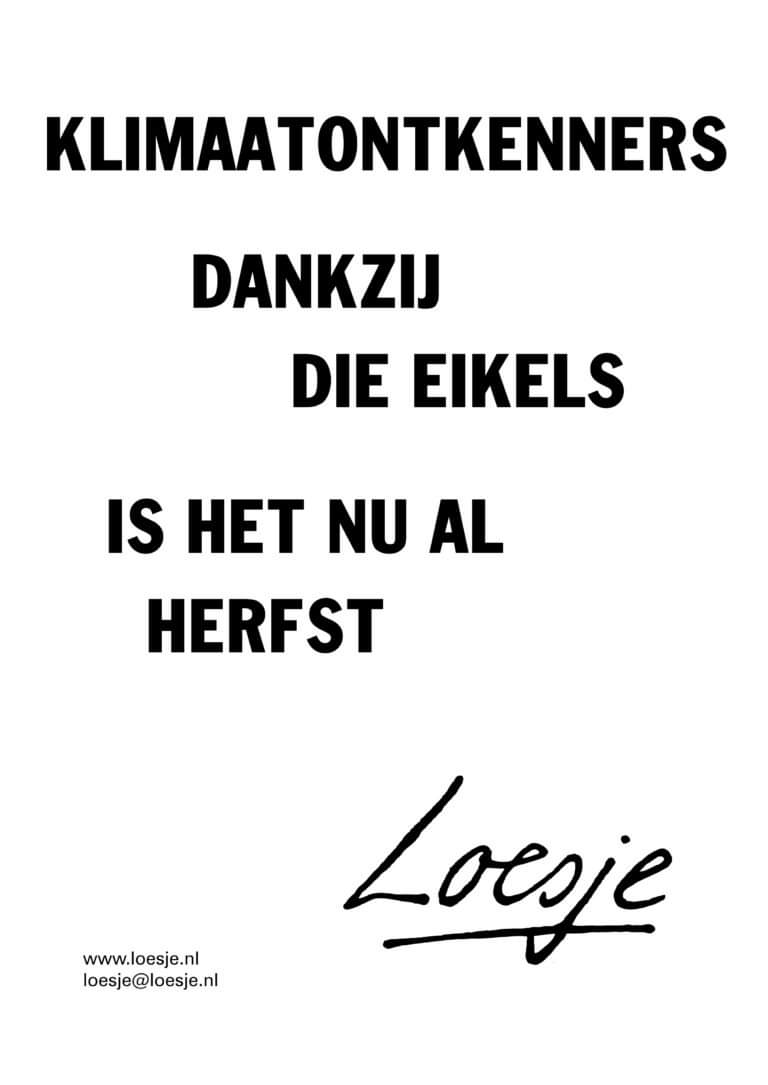 De herfst begint nu al. #klimaatcrisis