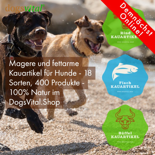 Demnächst neu online: "dogsvital - Kaugenuss für Deinen Hund"