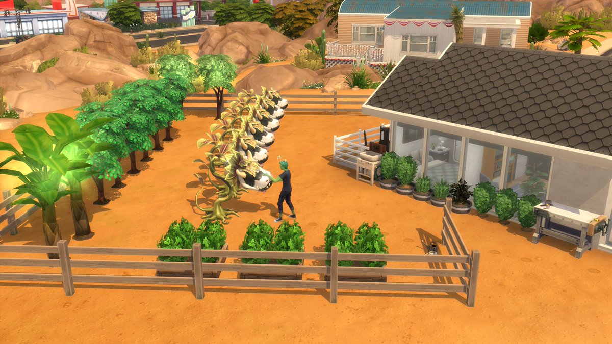 EuphoriaCaramel's tweet photo. Doing what ya do when you're livin' your best Plant Sim Life. #TheSims4 #PlantSim #TheSims #Cowplant (Diagonal Micro Home by LilSimsie, I decorate and use it for many challenges/Scenarios! 🐸🌱) https://t.co/GH6Y5YEKTY
