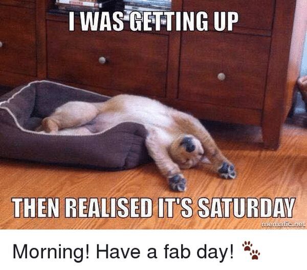 Morning!! Woke up way too early!! Trying to have a productive day 😁
#SaturdayVibes #SaturdayMorning #tooearly #needmoresleep
