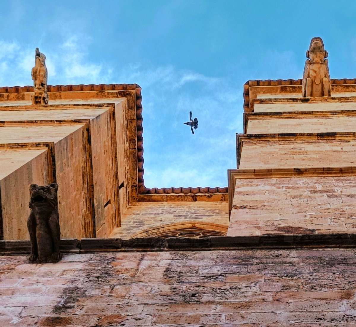 kutaisov's tweet photo. Synchronicity.
.
.
.
.
.
.
#palmademallorca #catedral #maneas #gargolas #gargoyle https://t.co/vK2OeQvern