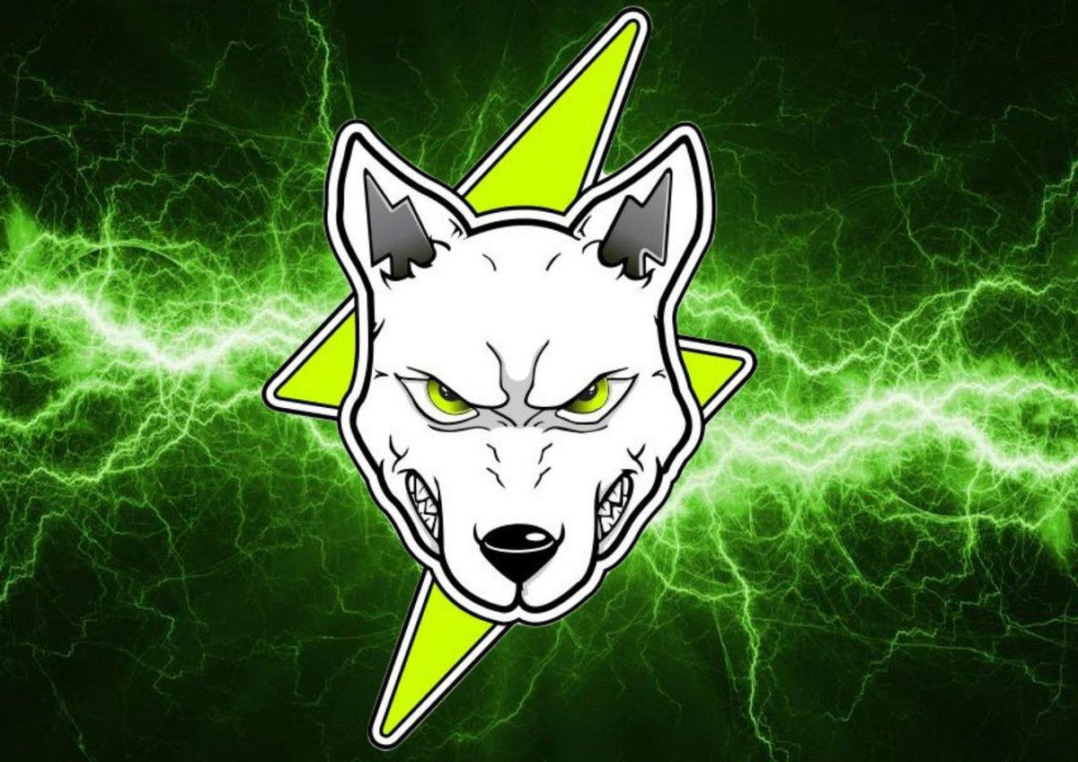 Volt Inu ⚡️ tweet media